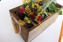 キッチンガーデンBOX／カルセラSHOP