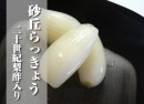 砂丘らっきょう 二十世紀梨酢入り／幸屋浅漬本舗