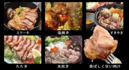 名古屋コーチン 霜降りもも肉／松風地どり