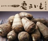 山形県産27代「悪戸いも」 2kg