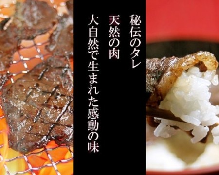 エゾ鹿 味付カルビ 500gパック／上田精肉店
